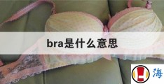bra是什么意思(bra是什么意思鞋码)
