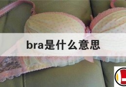 bra是什么意思(bra是什么意思鞋码)
